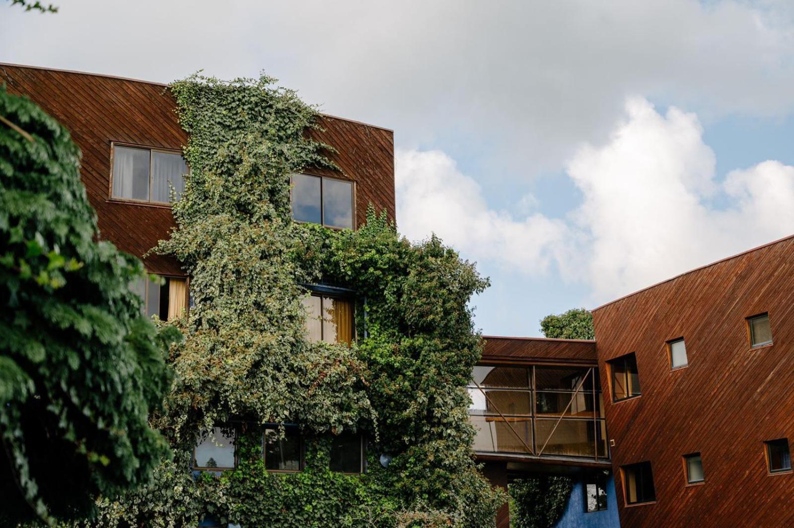 טמוקו Hotel Tierra Del Sur מראה חיצוני תמונה